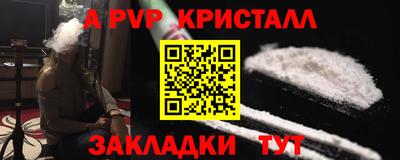 крисы Славгород