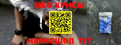 крисы Славгород
