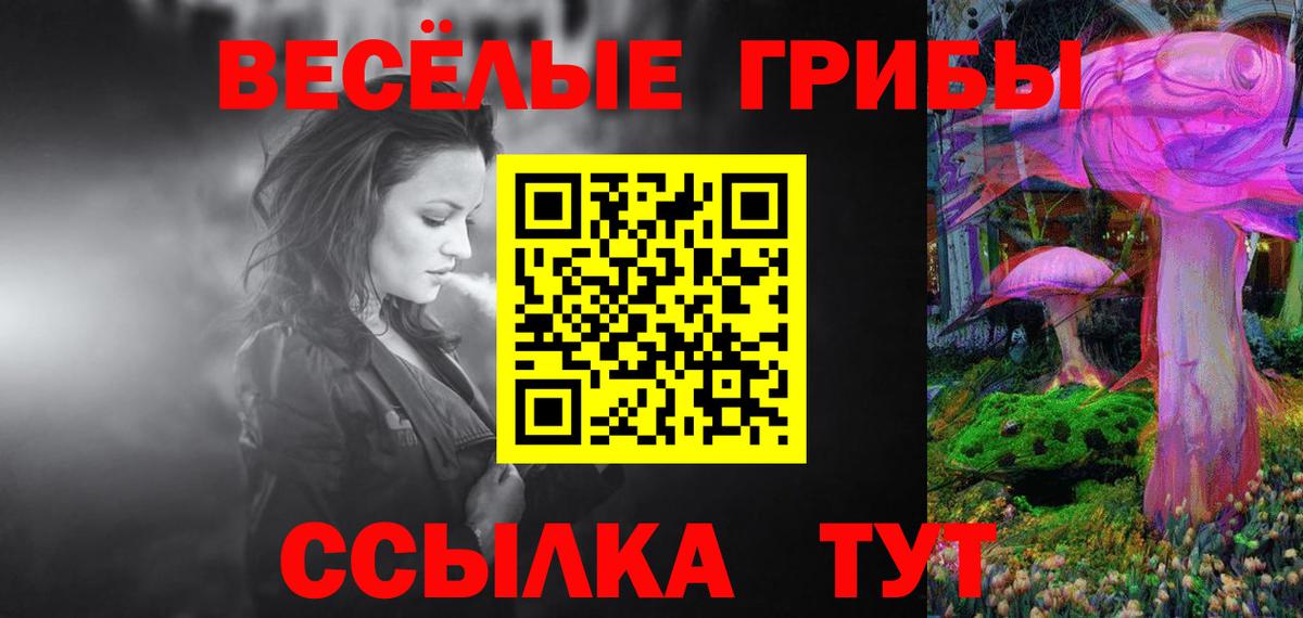 Галлюциногенные грибы Magic Shrooms Новокубанск